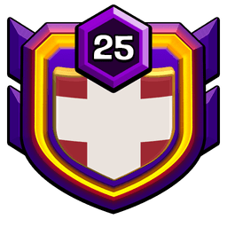 (DK) Vikings badge
